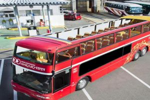 Actividad - Osaka Sky Vista (autobús de dos pisos con techo descubierto)