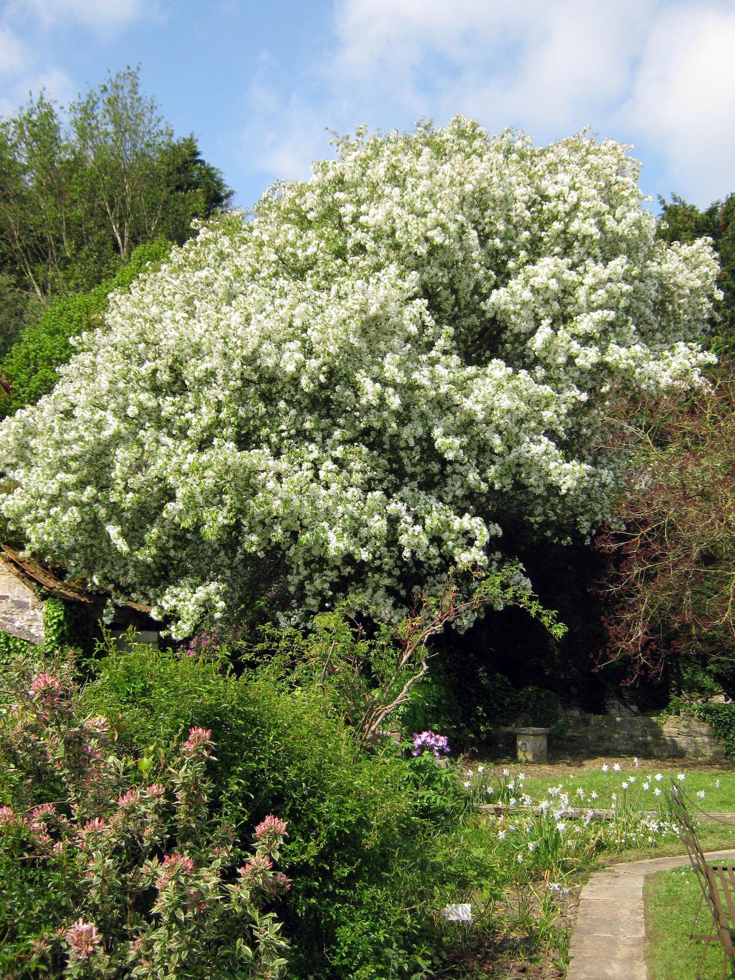 Equipamiento de Habitación Hollamoor Farm B&B
