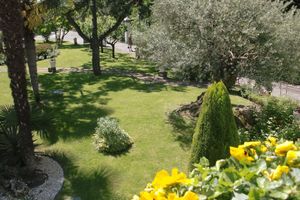 Alojamiento - Park Hotel Ai Pini