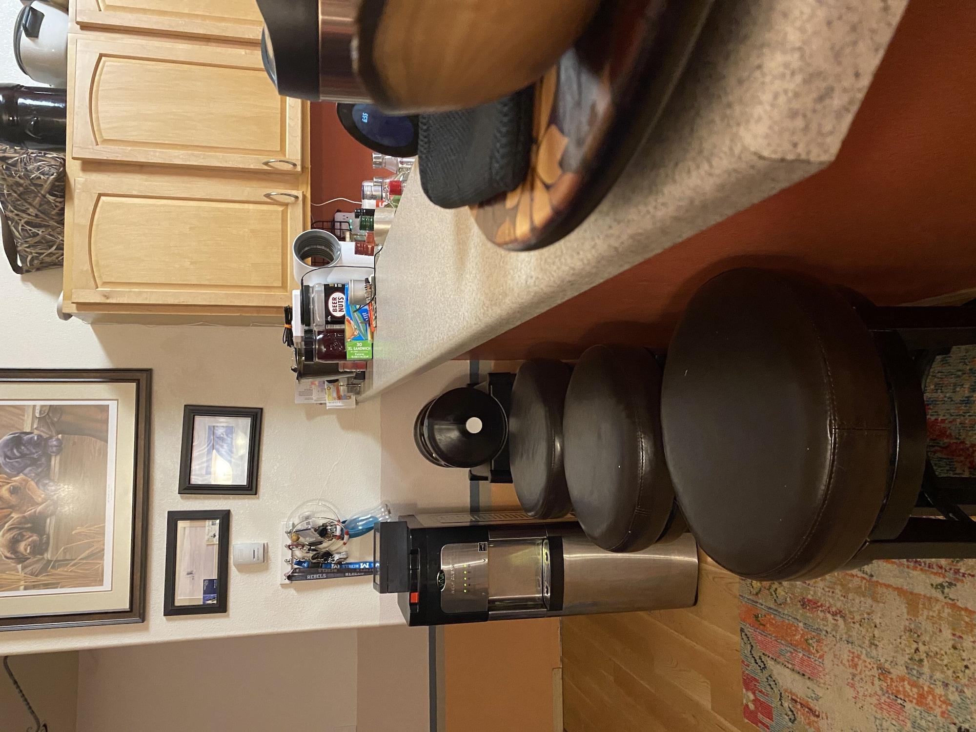 Bar/Salón Igloo of Enlightenment