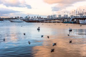 Paquete - Paquetes a Punta del Este