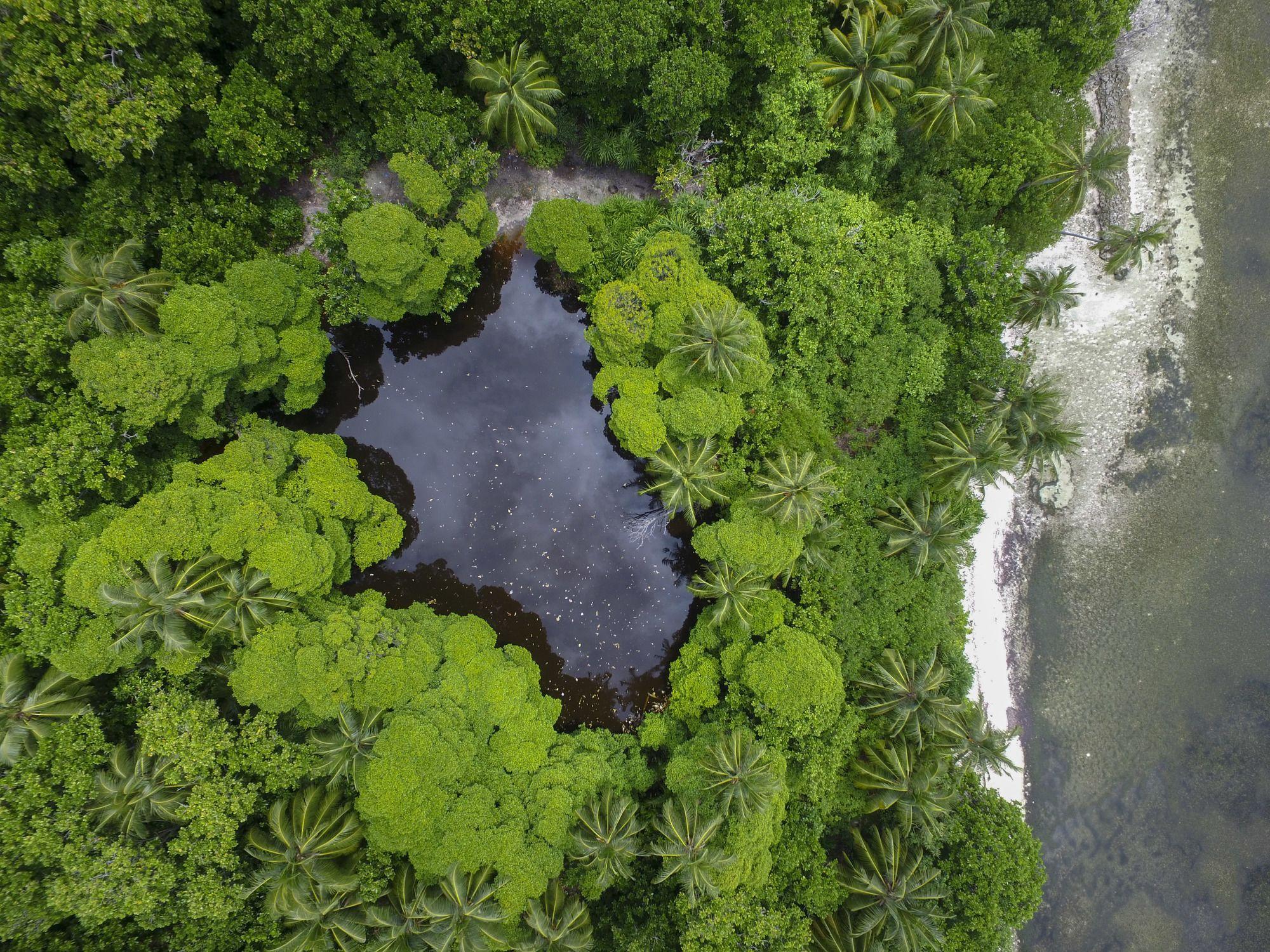 Vista Exterior Reveries Maldives