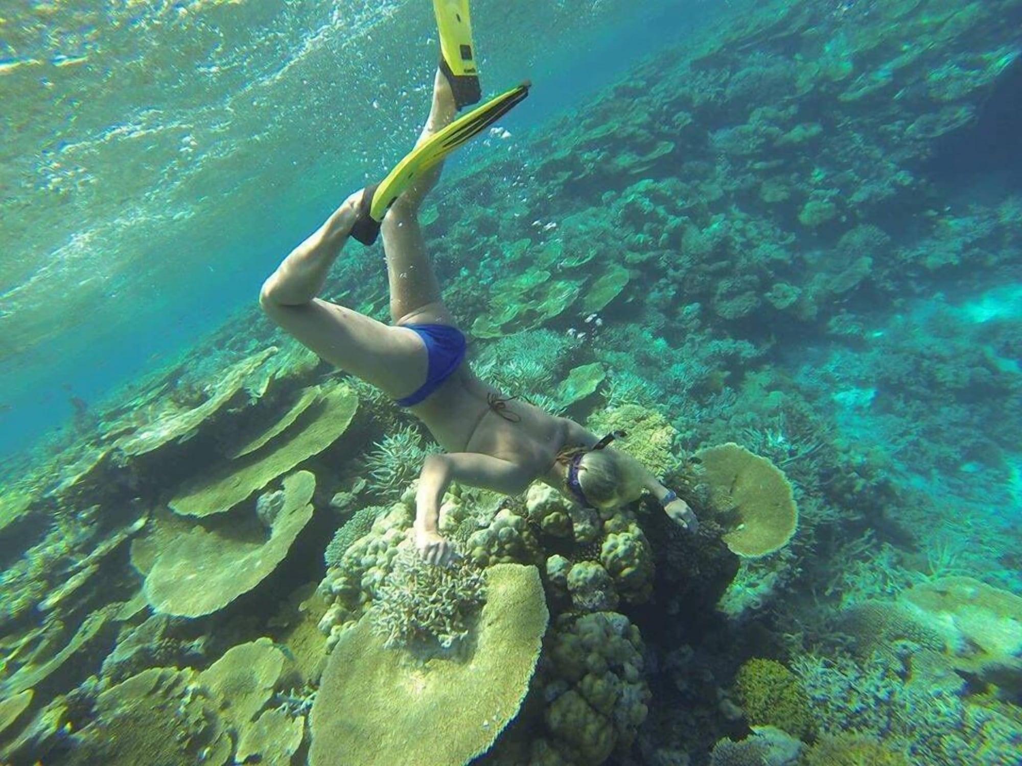 Gimnasio Fanhaa Maldives