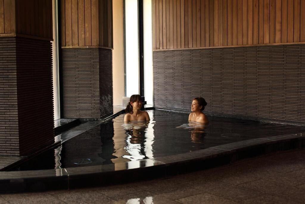 Spa TOYOTA Shirakawa-Go Eco-Institute