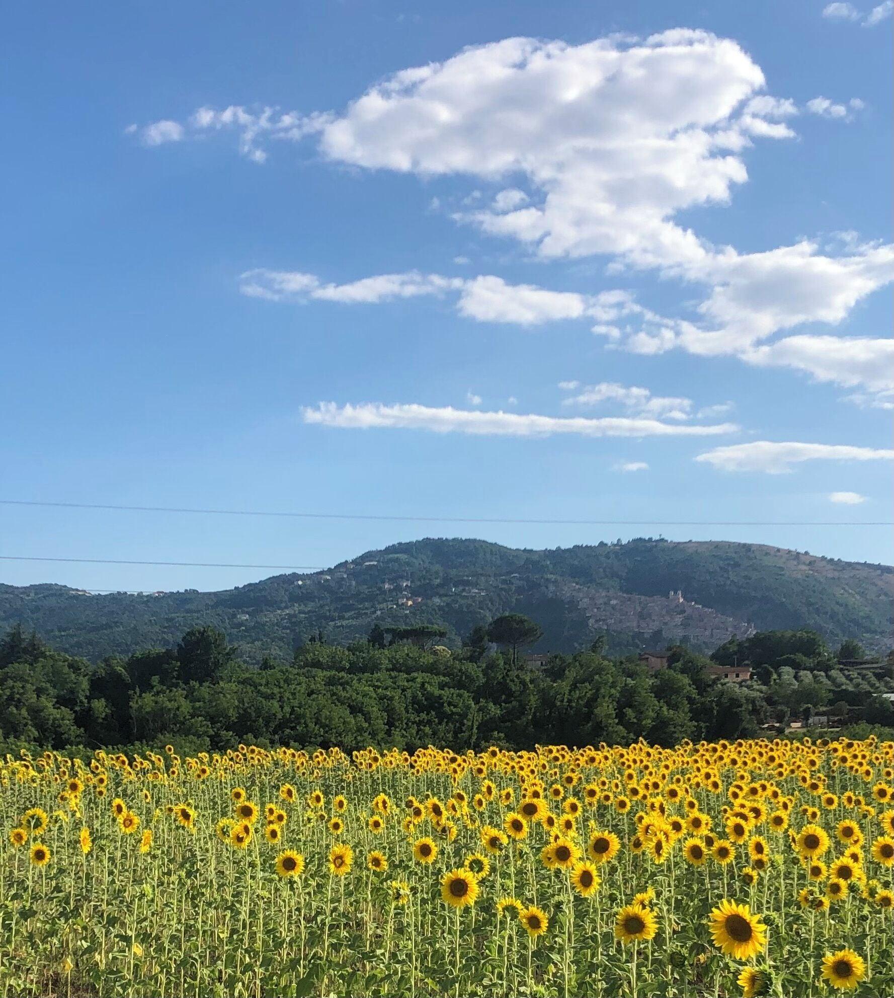 Varios Dreams Valley B&B