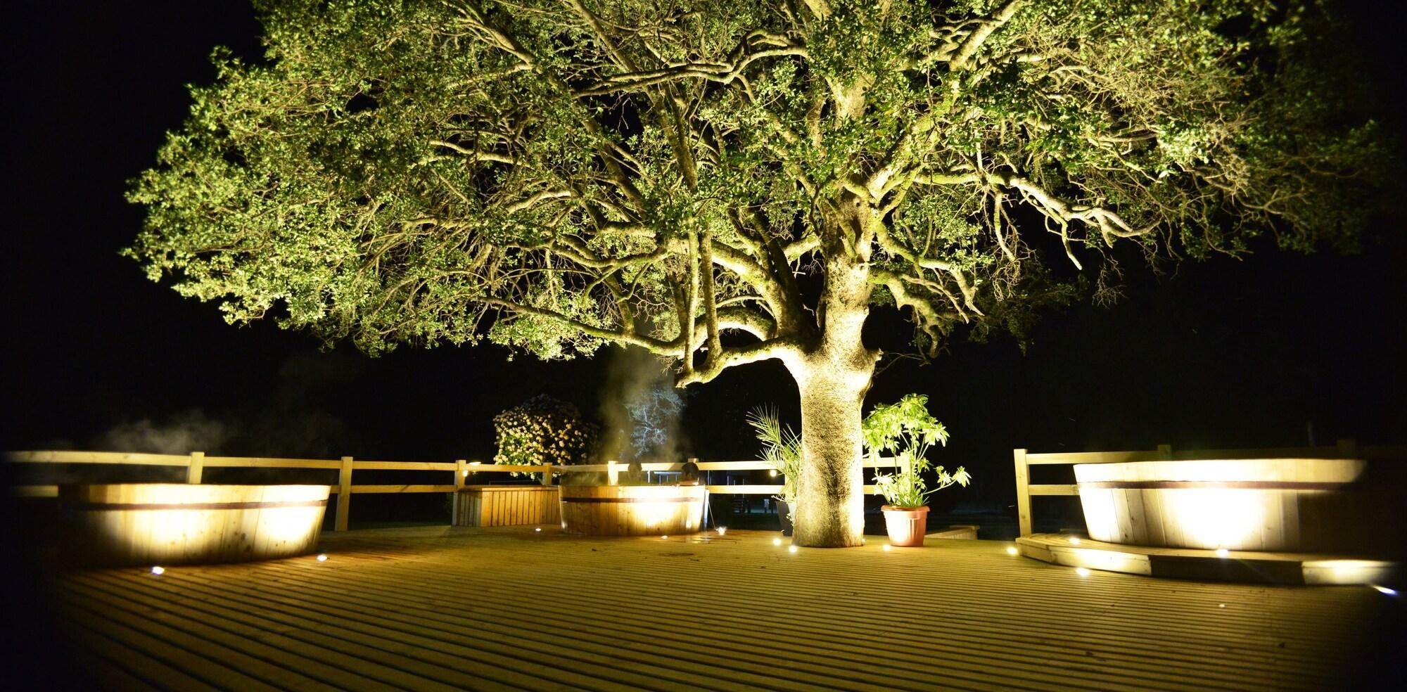 Varios Pucon Green Park Hotel