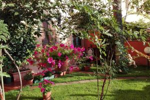 Alojamiento - B&B Al Giardino di Alice