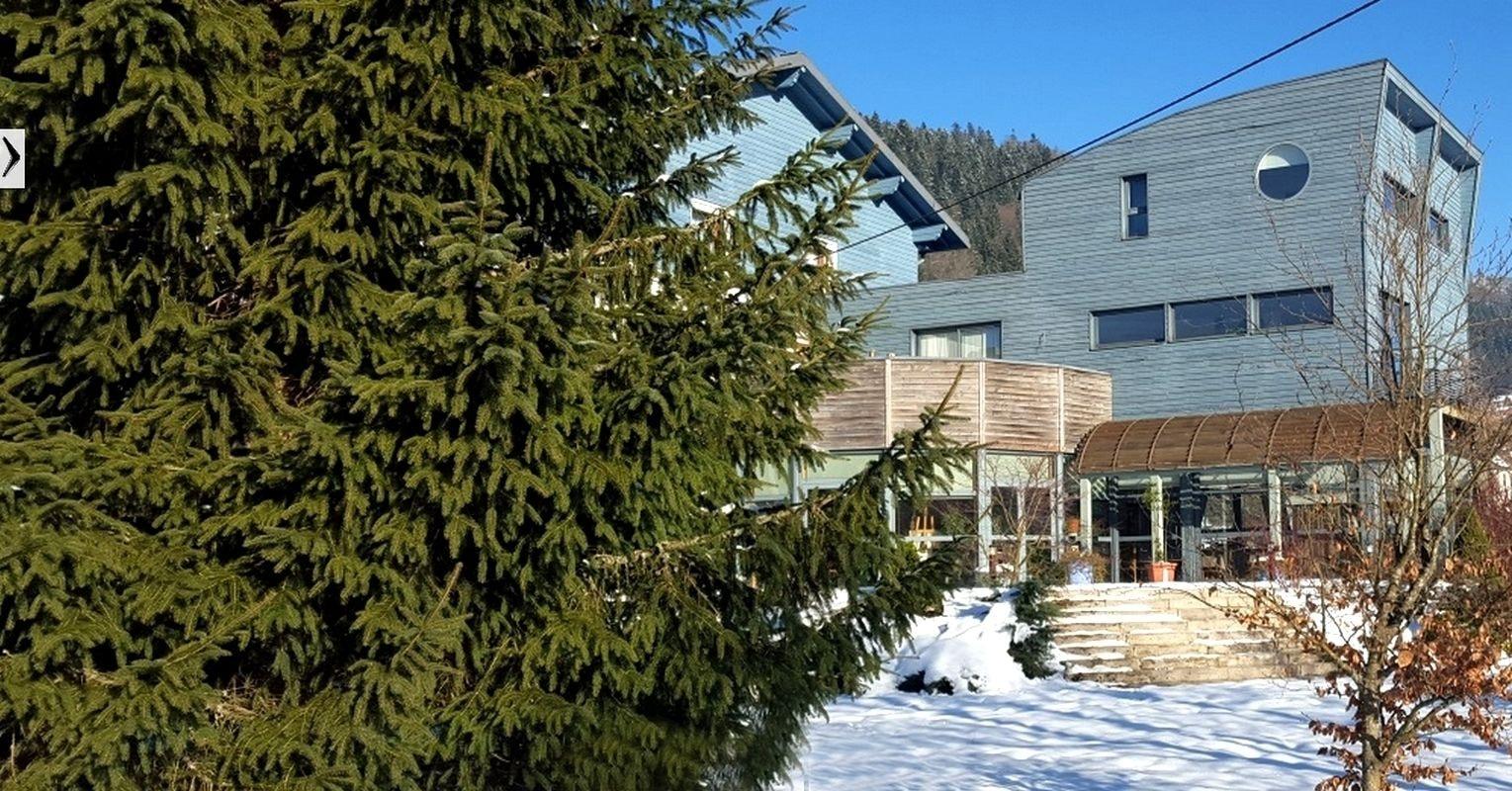 Comodidades del Alojamiento Hôtel les Sapins