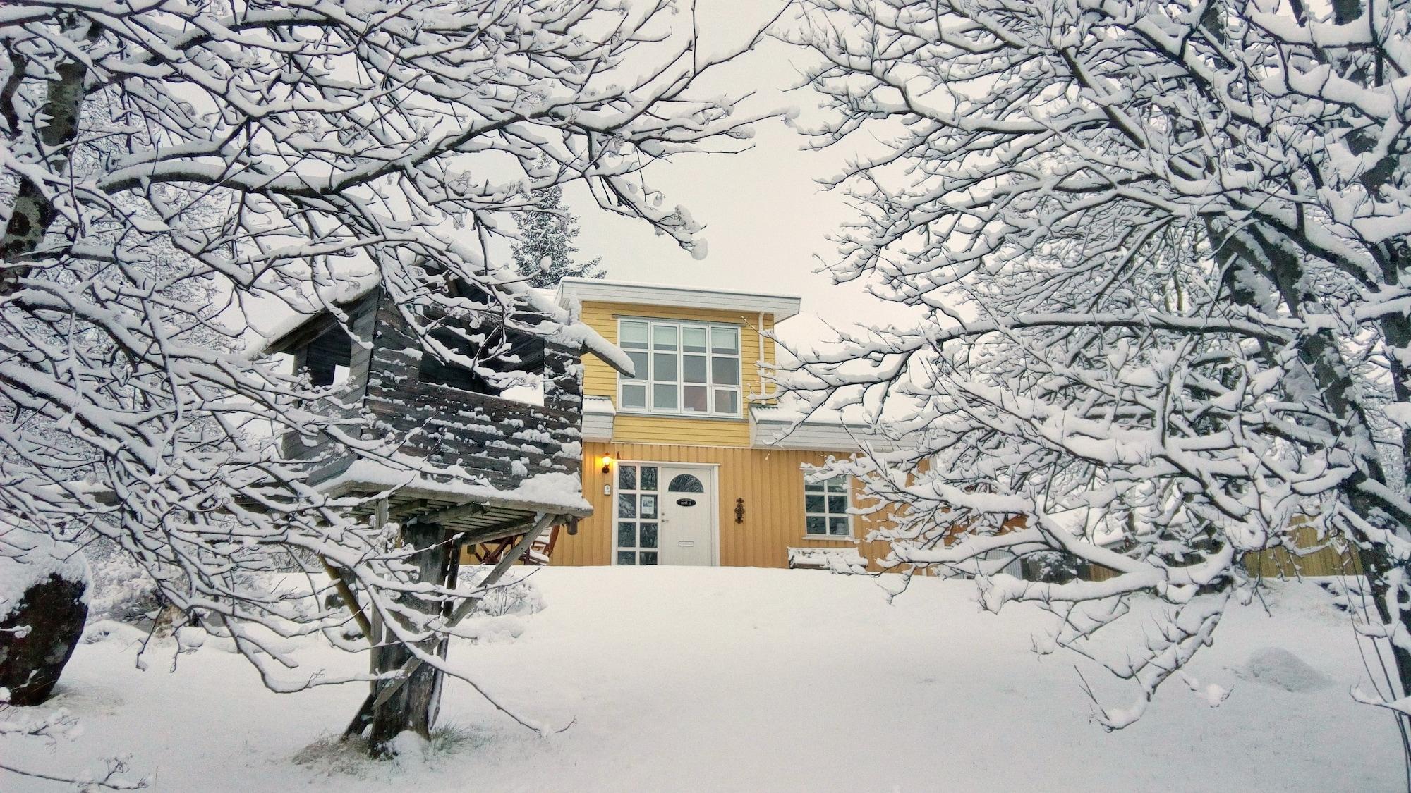 Vista Exterior Birta Guesthouse