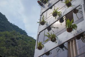 Alojamiento - Runas Inn Machupicchu