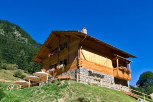 Alojamiento - Chalet Alpenrose Bio Wellness Naturhotel