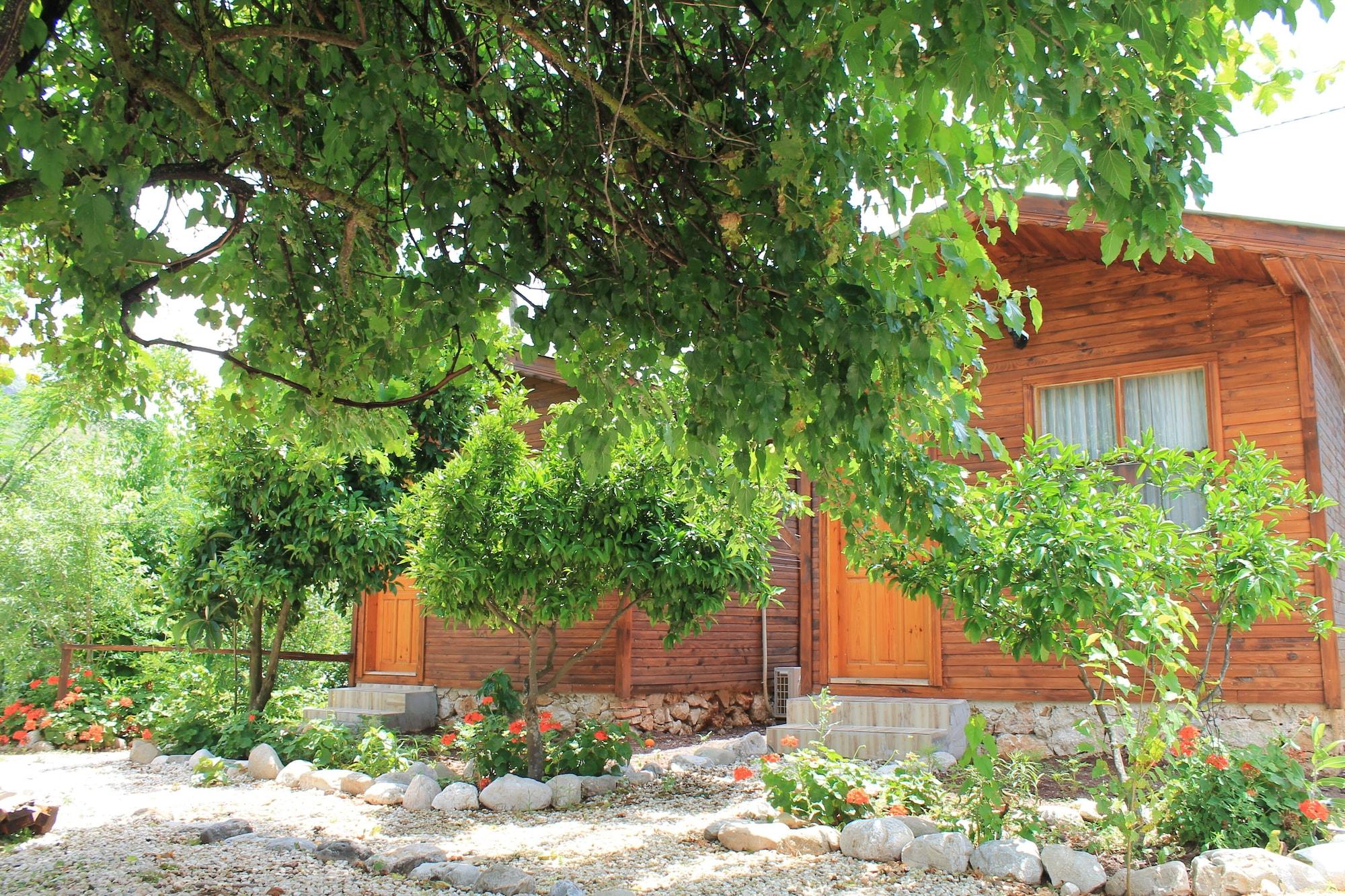 Bar/Salón Olympos Simar Pansiyon