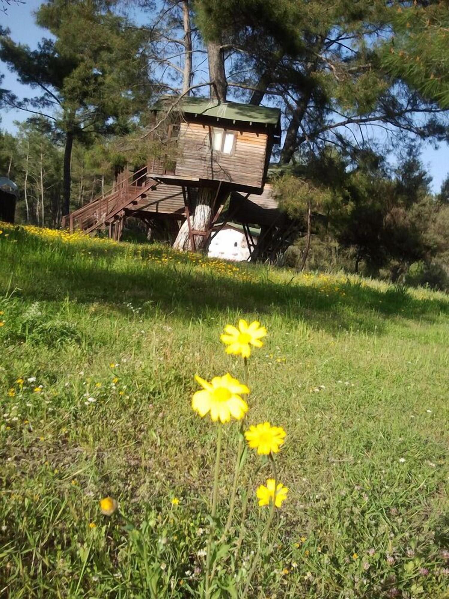 Vista Exterior Olympos Woods - Adults Only