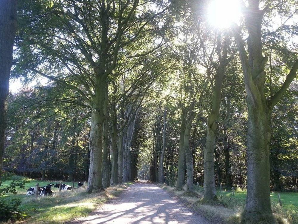 Vista Exterior B&B De Poppelse Hoeve