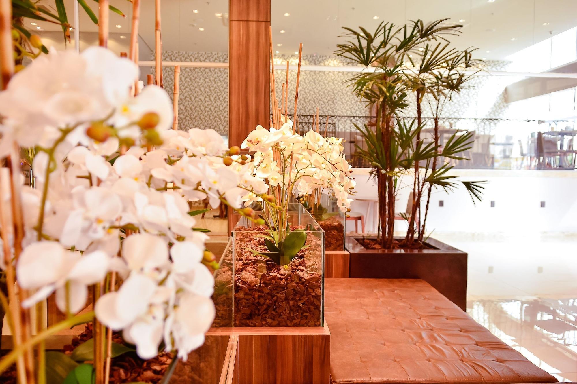 Vista Lobby Forte Express