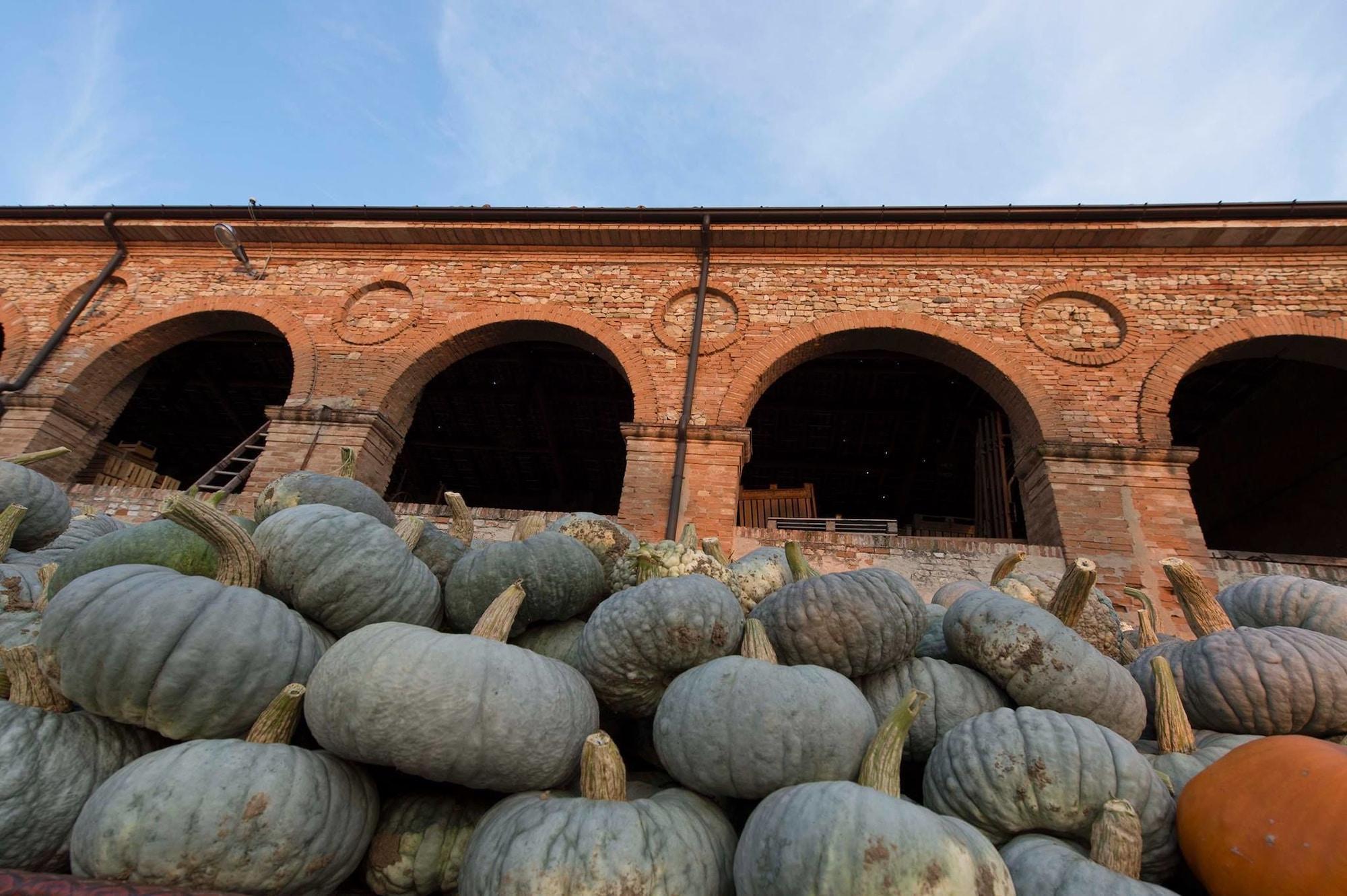 Varios Agriturismo Arte Contadina