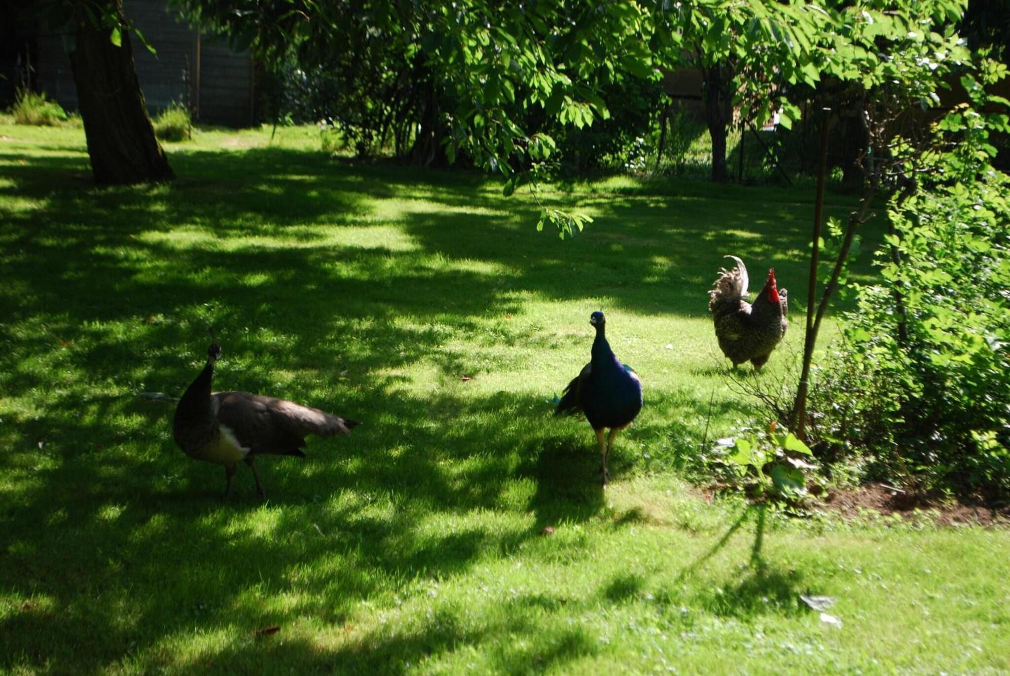 Vista Exterior Citotel Le Clos Champel