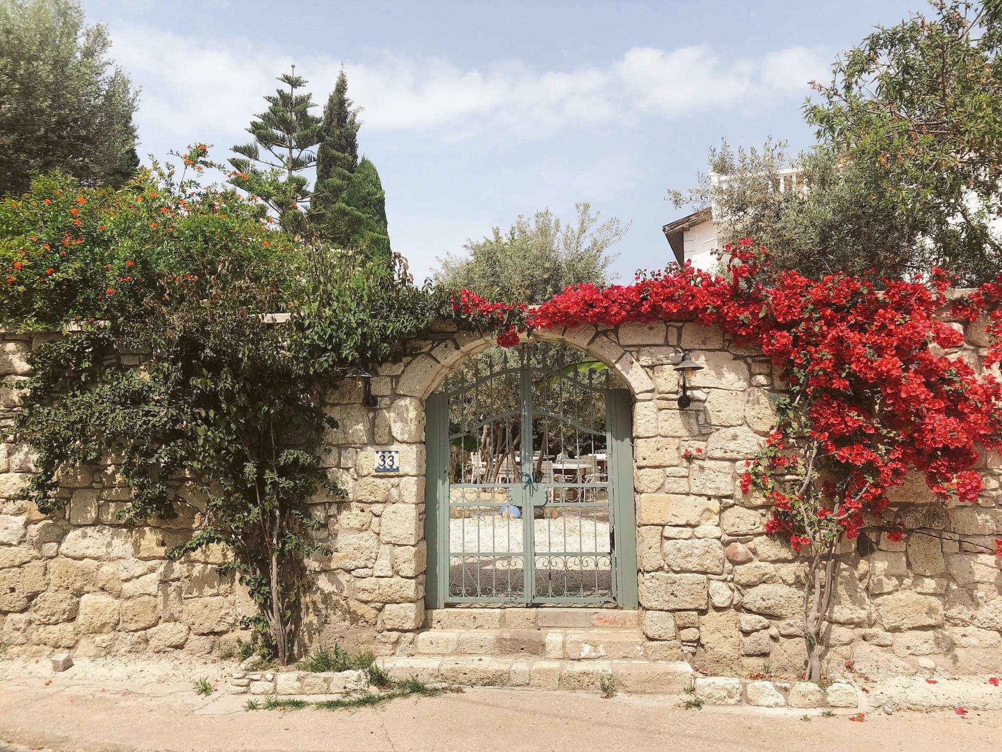 Vista Exterior Temucin Hotel
