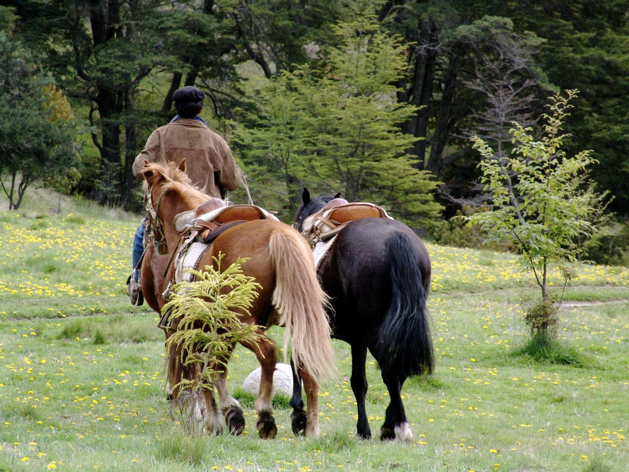 Instalaciones Recreativas Mallin Colorado Ecolodge