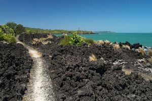 Actividad - Ferri de ida y vuelta a Rangitoto