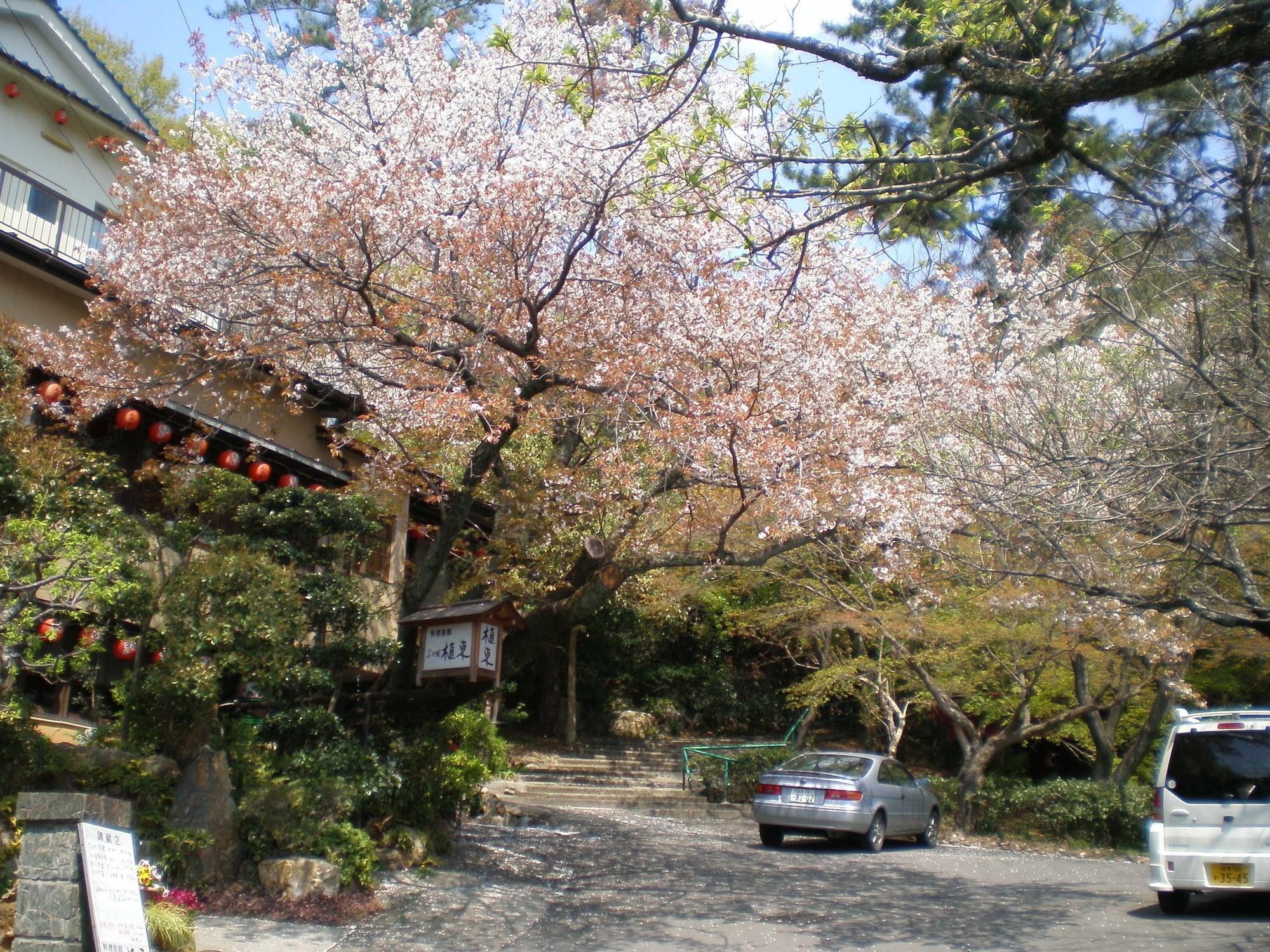 Vista Exterior Uetoh Ryokan
