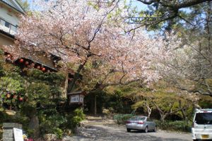 Alojamiento - Uetoh Ryokan