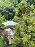 Alojamiento - San Gemini Palace