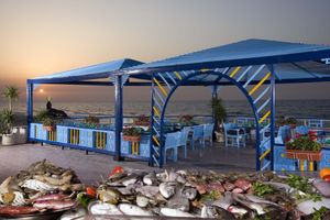 Alojamiento - Retac El Arish