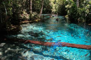 Actividad - Passeio a Nobres/Bom Jardim