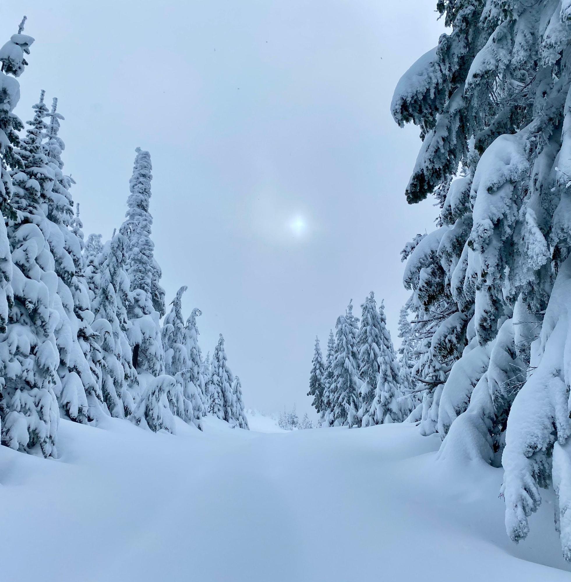 Playa SKOG - Aurora igloos