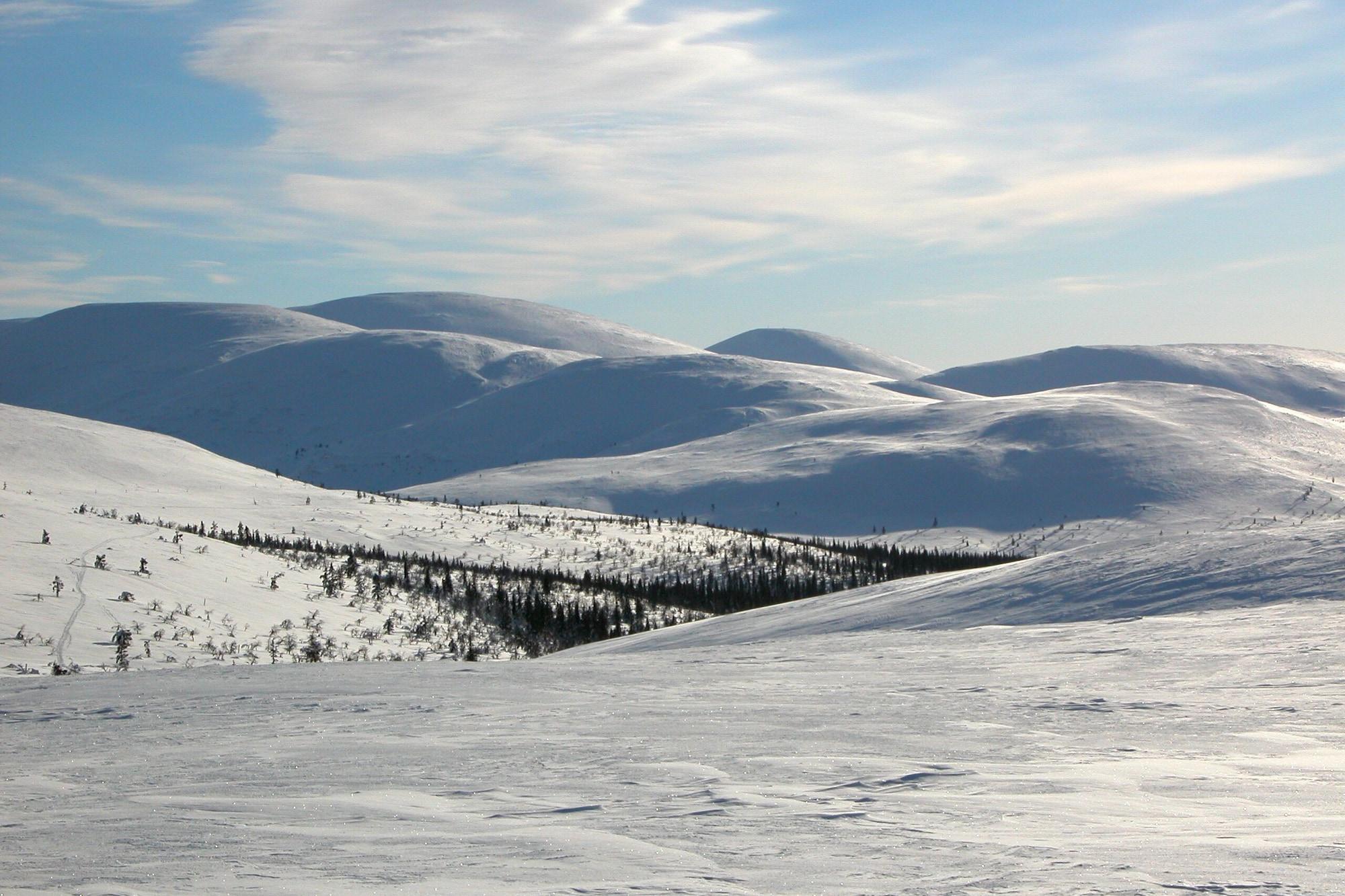 Vista Exterior Kelo Resort