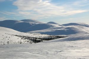 Alojamiento - Kelo Resort