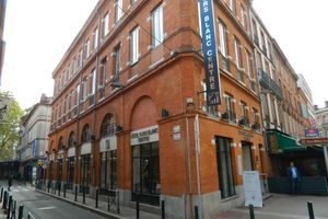Alojamiento - Ours Blanc Toulouse Centre