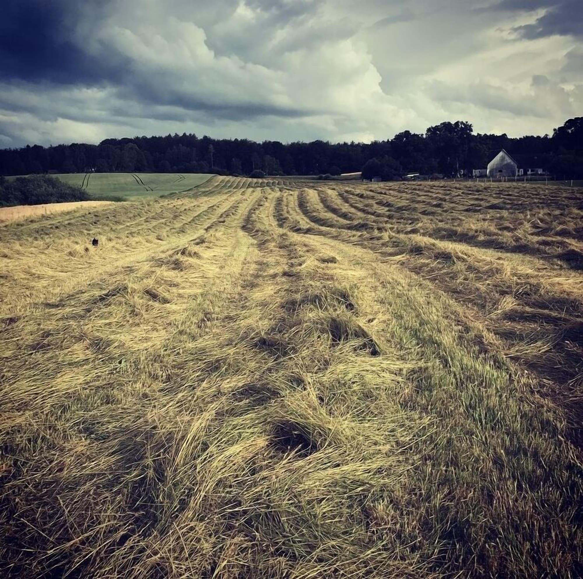 Vista Exterior Katrinelund Bed and Breakfast