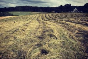 Alojamiento - Katrinelund Bed and Breakfast