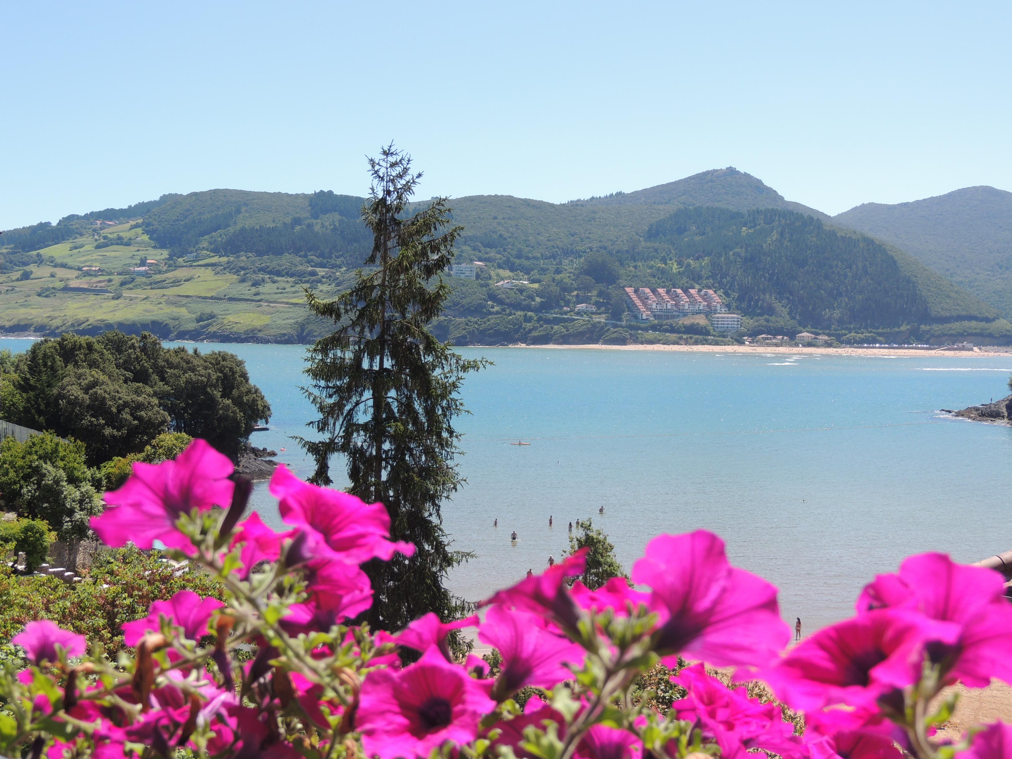 Vista Exterior Apartamentos Mundaka