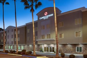 Alojamiento - Candlewood Suites Safety Harbor - Clearwater NE by IHG