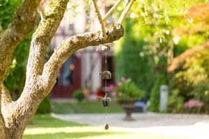 Alojamiento - Boutique Hotel & SPA Au Charme Rabelaisien