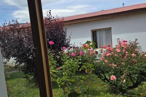Alojamiento - Hotel Upsala