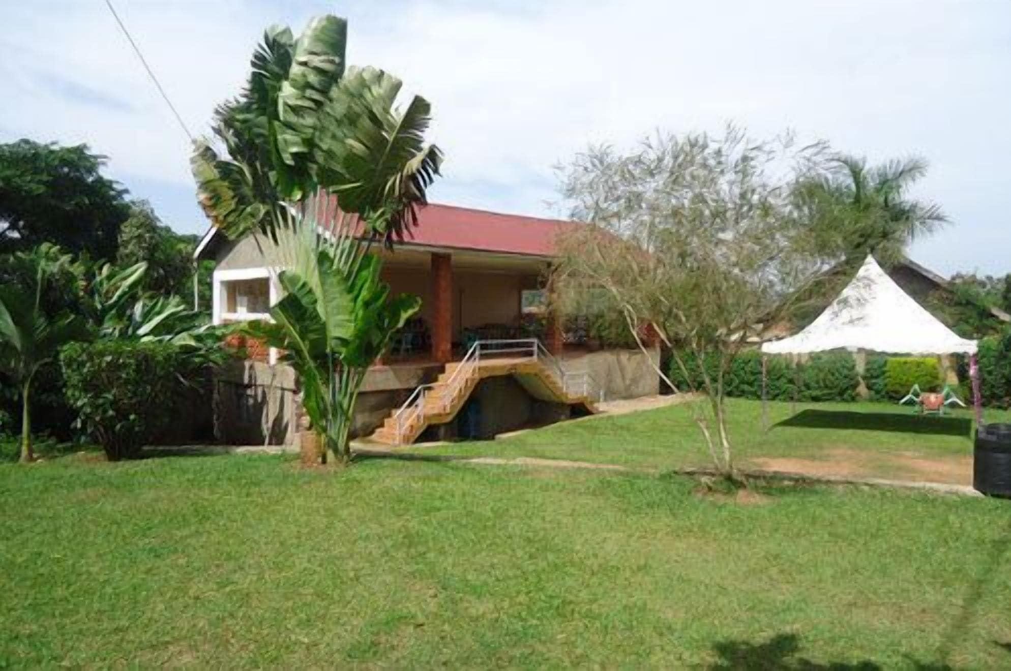 Vista Exterior Dreams Guest House