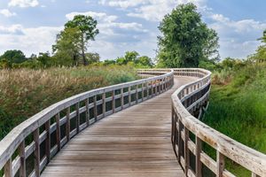 Alojamiento - Holiday Inn Express Annapolis East-Kent Island by IHG