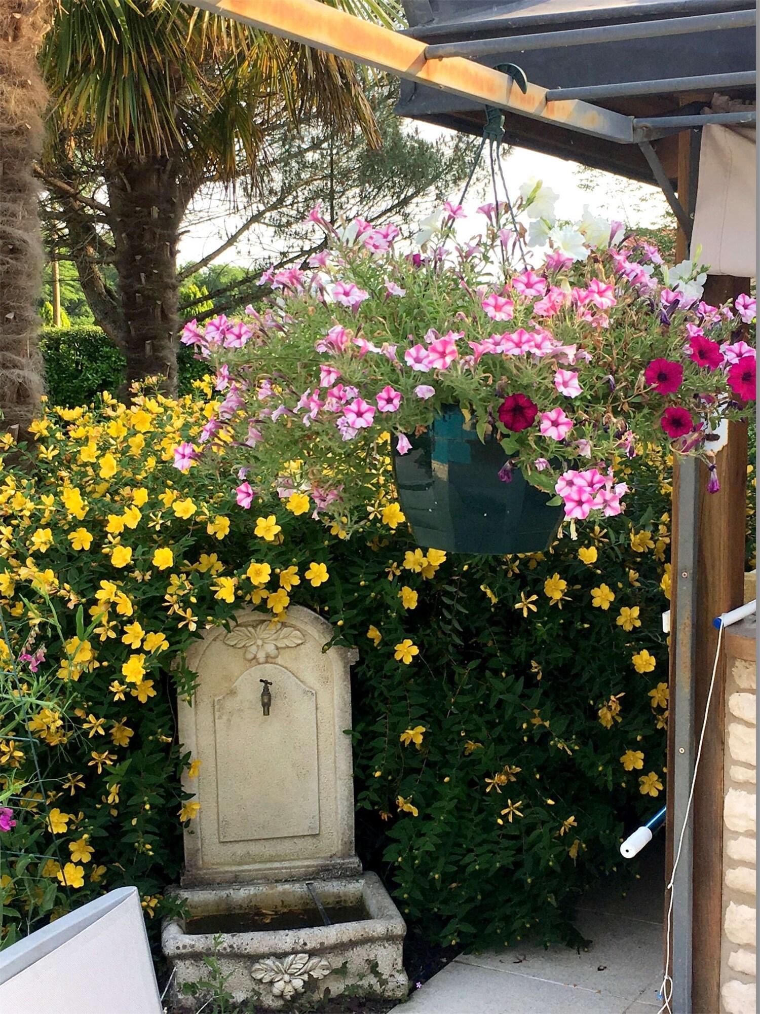 Vista Exterior Domaine De Pouzelande B&B