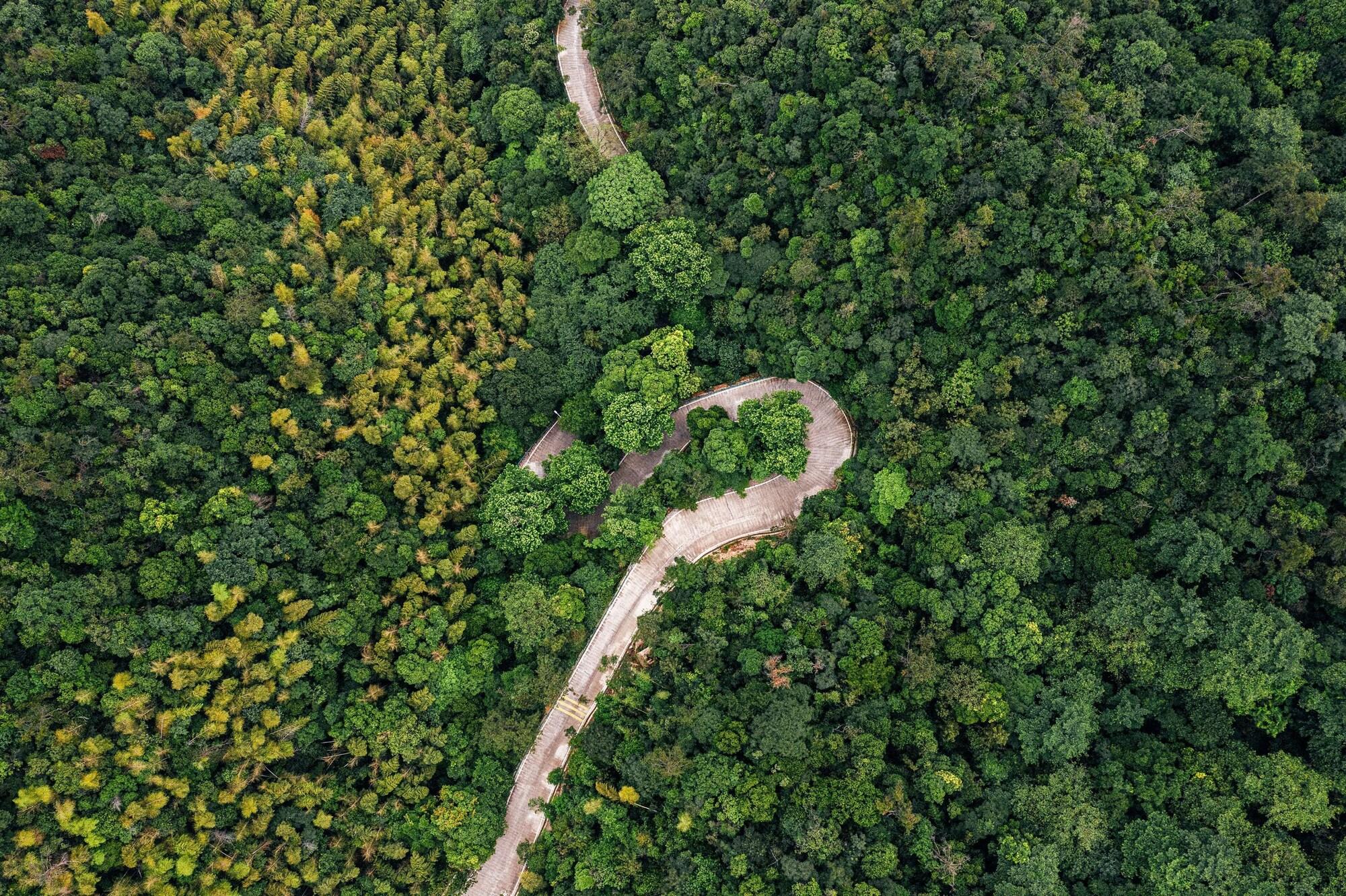 Varios Hyatt Place Deqing