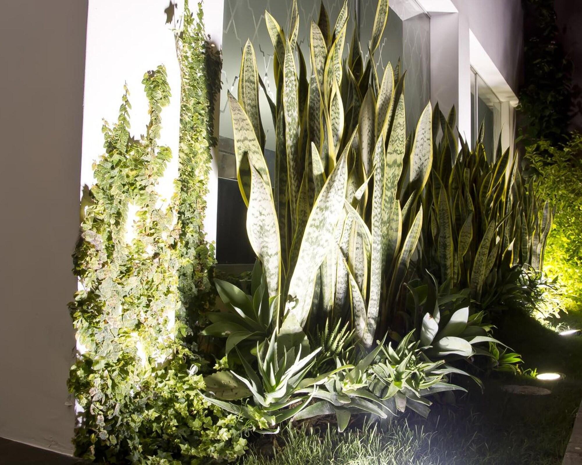 Vista Exterior Arvo Hotel Boutique