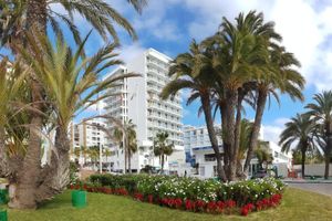 Alojamiento - Hotel Alay Puerto Marina - Adults Only Recommended