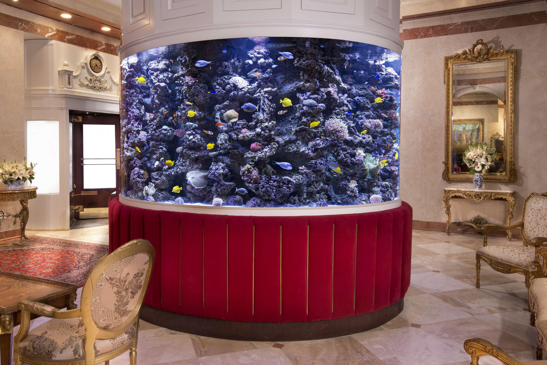 Vista Lobby The Kimberly Hotel