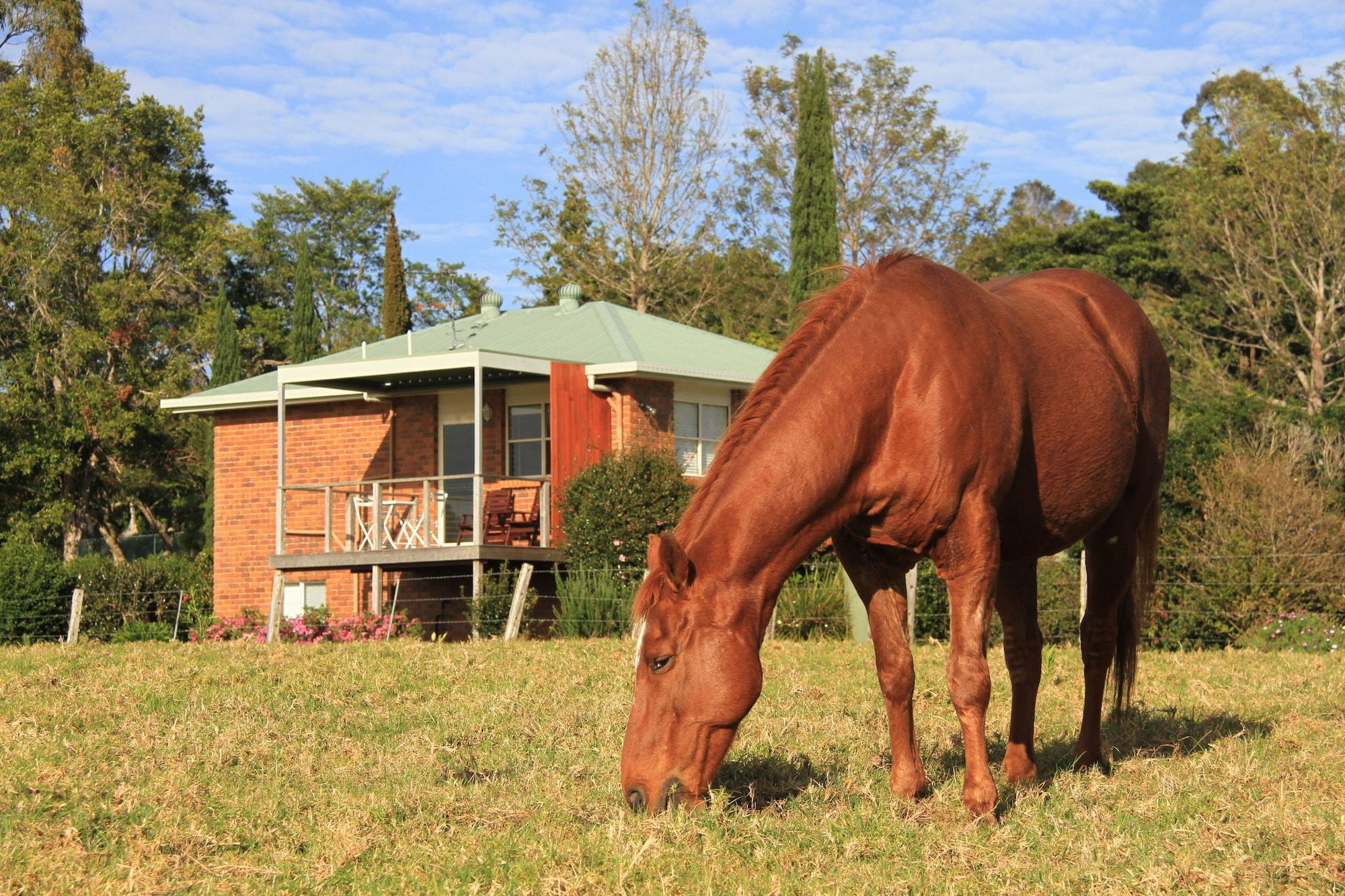 Varios Seasons of Maleny B&B