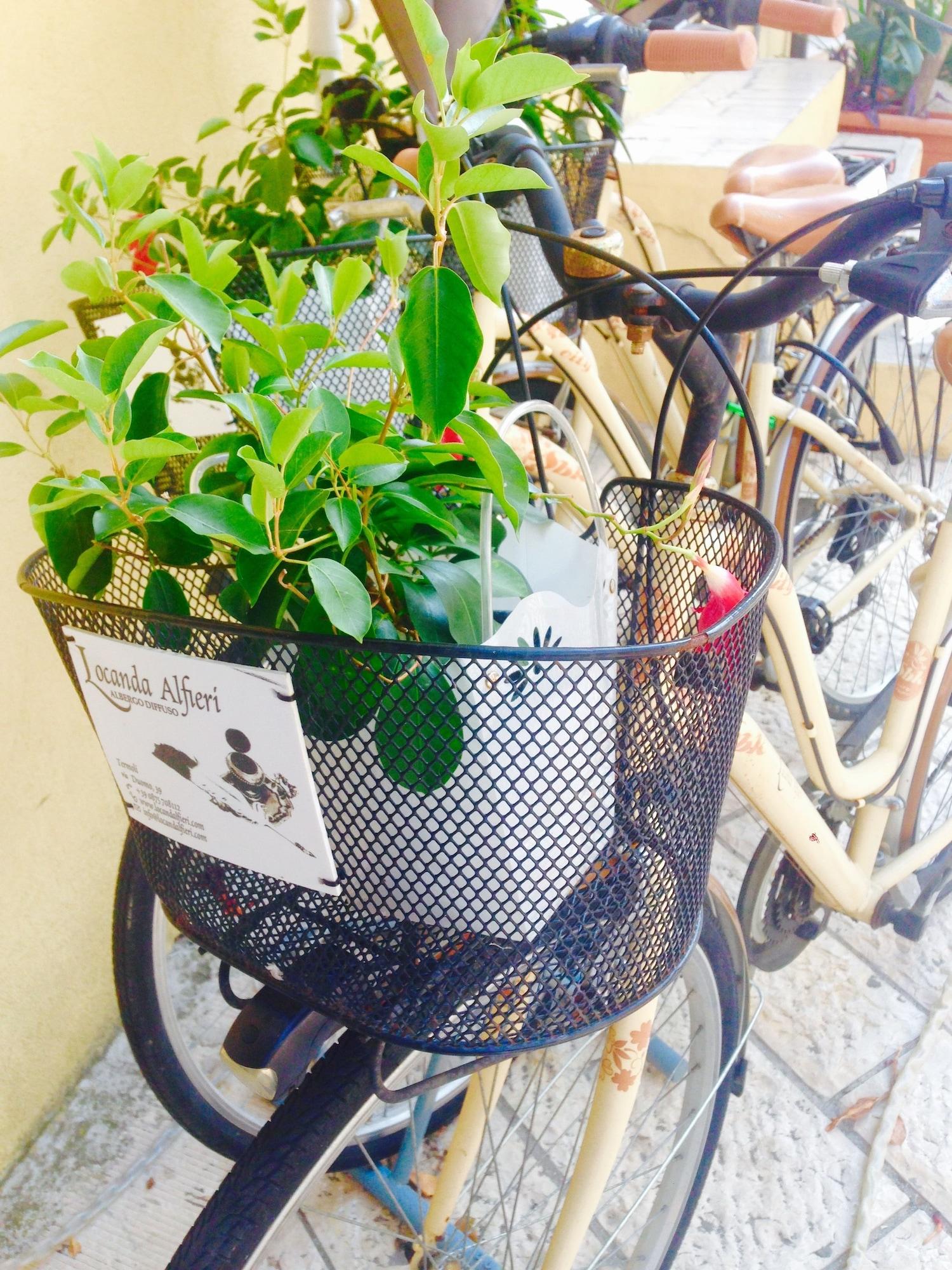 Varios Locanda Alfieri