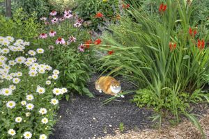 Alojamiento - Los Gatos Bed & Breakfast