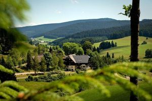 Alojamiento - Tannzapfenland